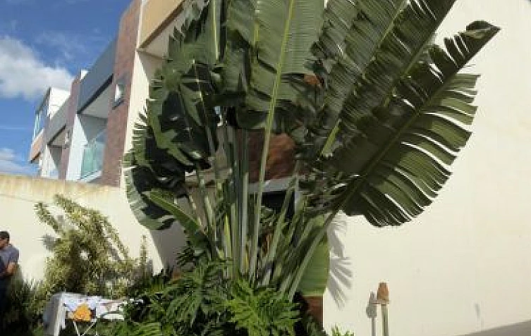 Casa Duplex - Venda no bairro Jardim Guanabara - Vit�ria da Conquista - BA