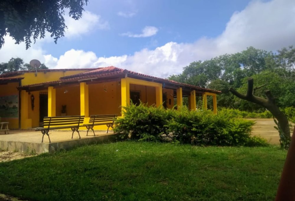 Sítio - Venda - Lagoa das Flores - Vitória da Conquista - BA