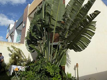 Casa Duplex � Venda